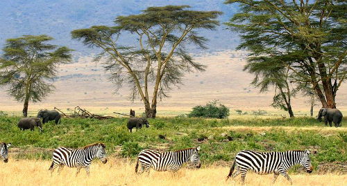 40 de destinatii de vazut intr-o viata - 25