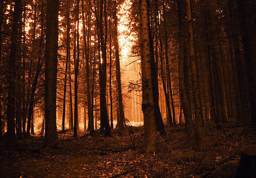 destinatii de basm - 7