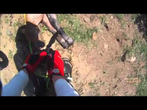 Internetul nu il va putea uita. Un motociclist s-a oprit din cursa pentru a salva un vitel