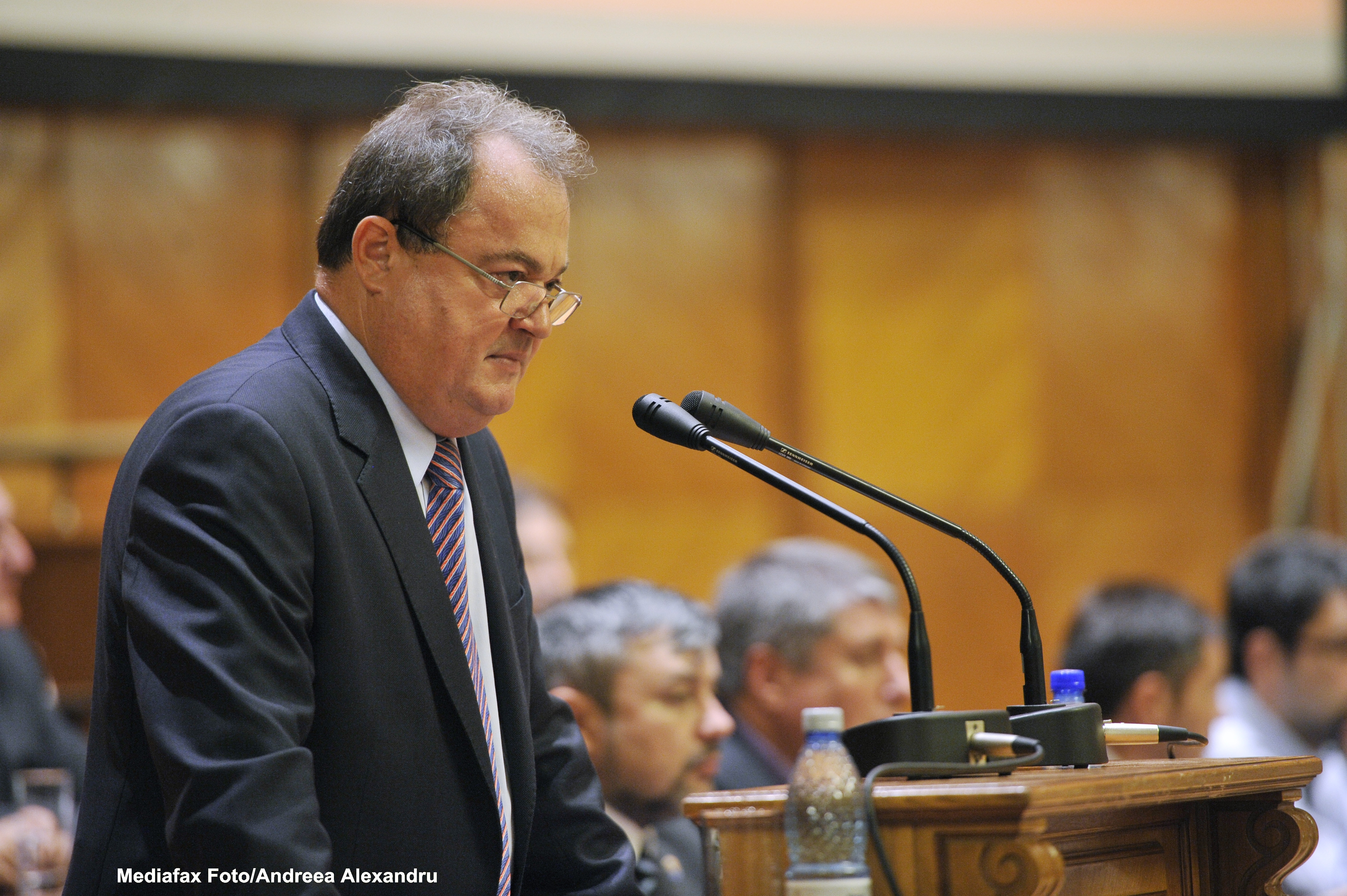 Vasile Blaga: "22 de milioane de romani stiu ca Traian Basescu o sustine pe Elena Udrea"