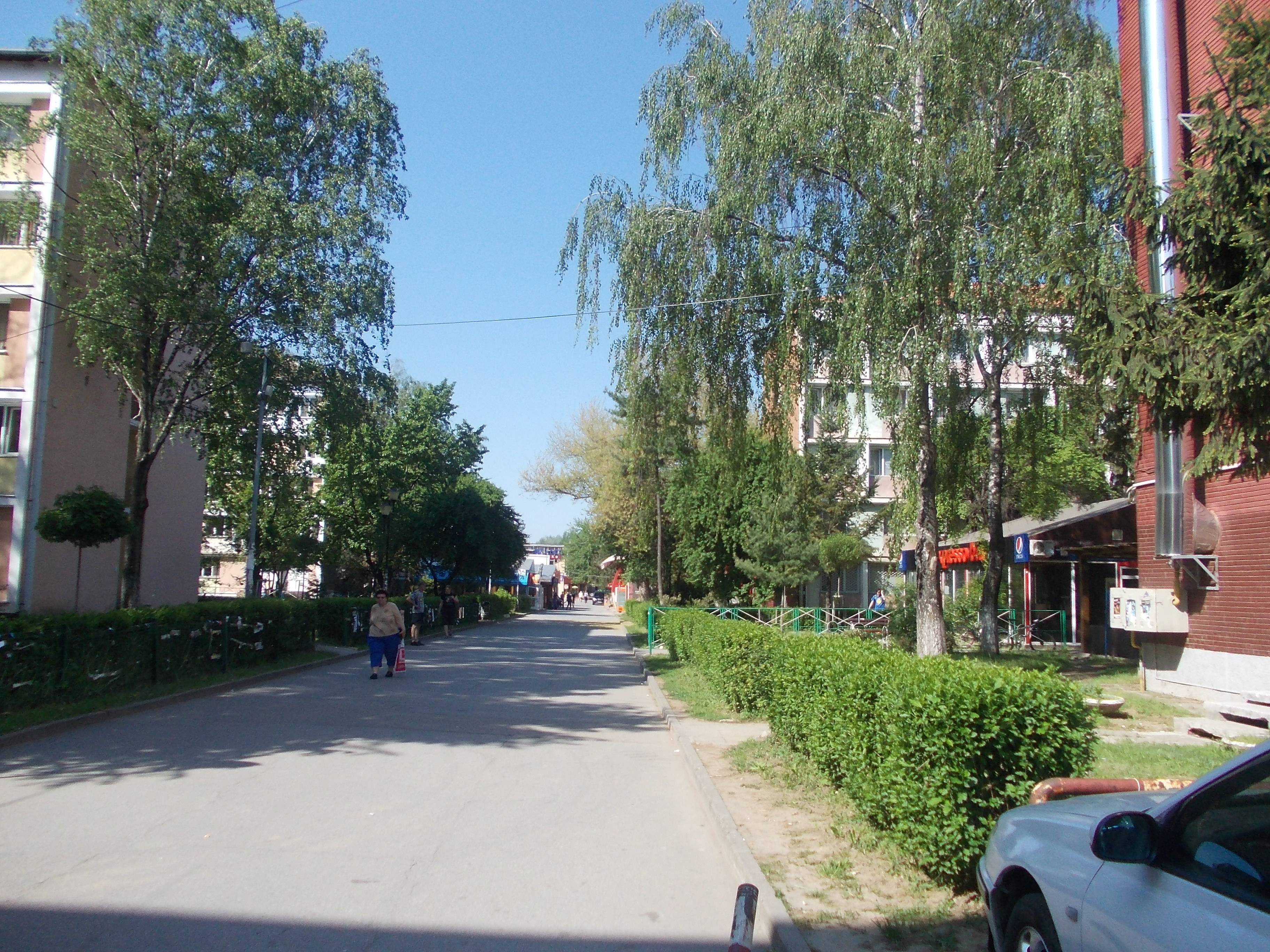 Robu vrea sa exproprieze terenurile din Complexul Studentesc: “Fara carciumi de joasa speta”