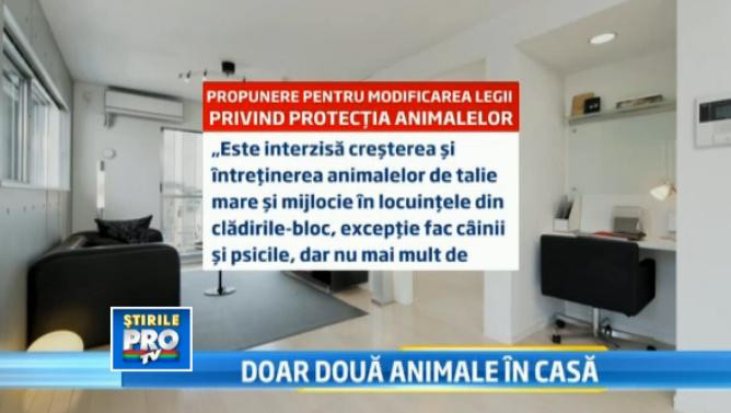 Legea propusa de un deputat PSD: nu mai mult de 2 animale in casa. ONG-urile: Incurajeaza abandonul