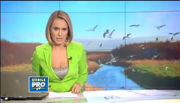 Braconaj in Lunca Dunarii. Mii de pasari ucise, pentru a deveni delicasete in Italia