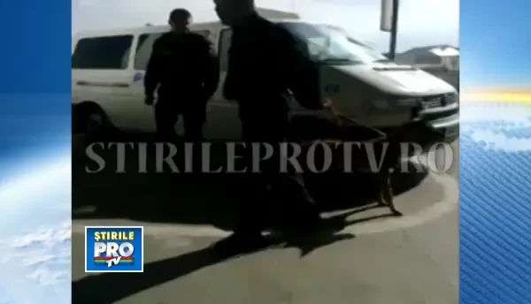 Amenintare cu bomba! Clientii unui hipermarket din Timisoara au fost evacuati