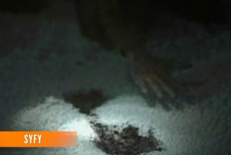 "Am vazut doi ochi care straluceau in intuneric". Creatura care il pandea la fereastra