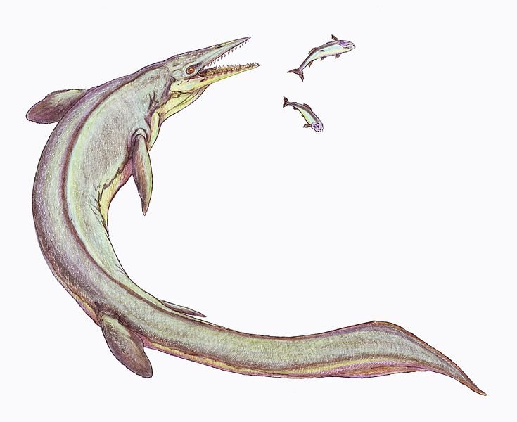 mosasaur