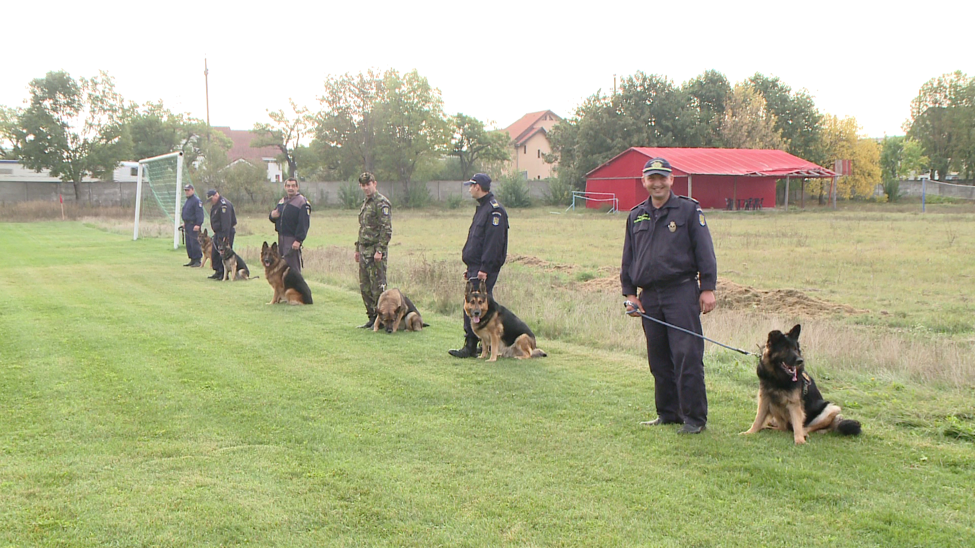 Ei sunt patrupezii politisti care vor porni pe urmele infractorilor din zona granitei de Vest. FOTO