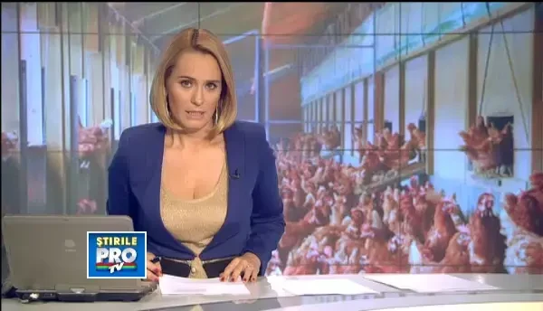 Este alerta in Brasov. Veterinarii au descoperit un focar al bolii