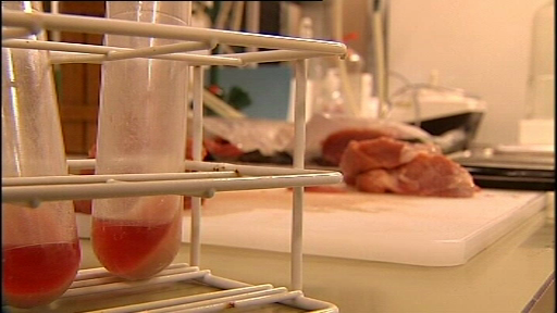 O firma din Ungaria a exportat in Suedia carne de porc, vanduta drept carne de vita