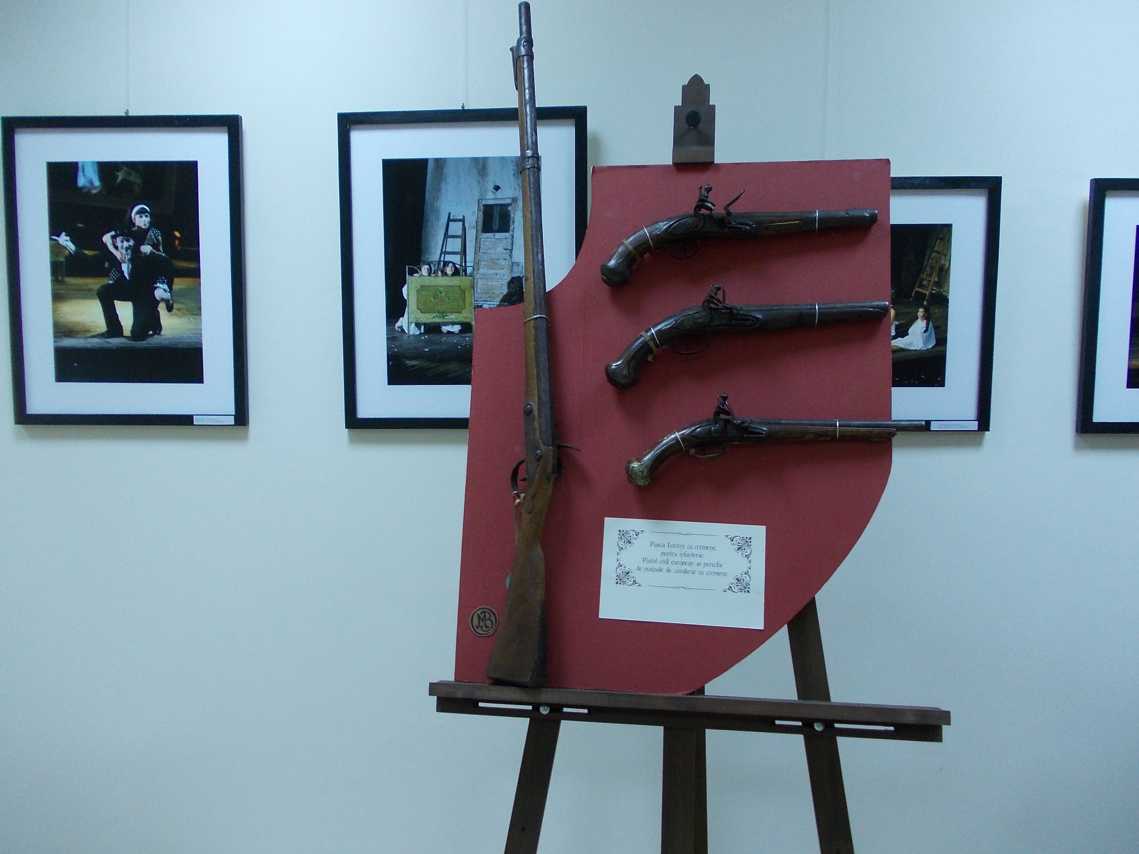 Expozitie de arme din vremea cuceririi cetatii Timisoara de catre austrieci. Galerie FOTO