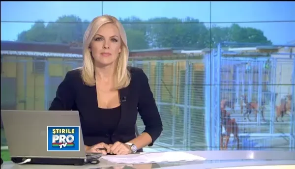 Transforma orice caine vagabond intr-un domn rasat, in o luna de zile, apoi il ofera spre adoptie