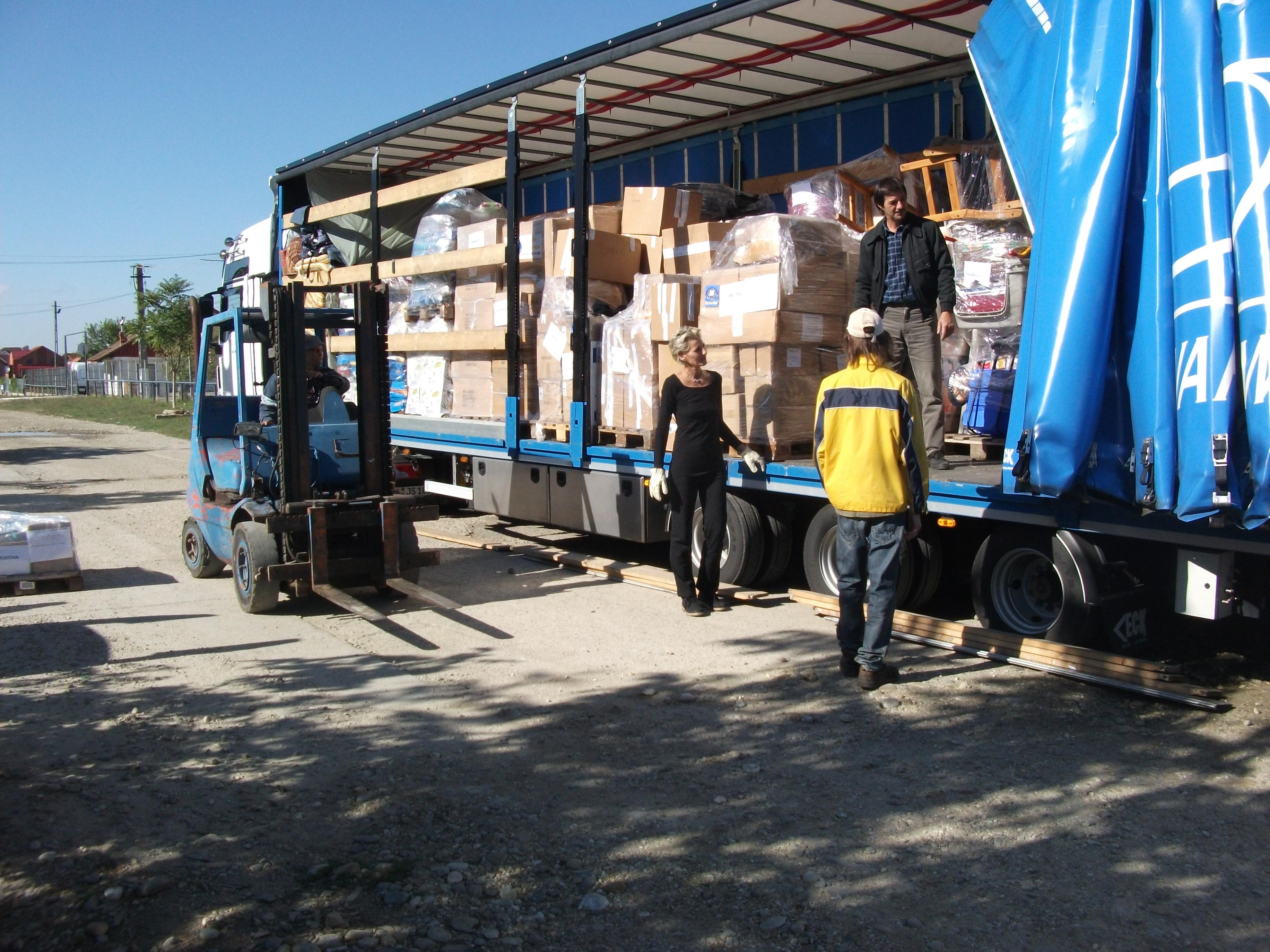 Cainii fara stapan din Timis au primit hrana, lese si medicamente de la ONG-urile din Germania