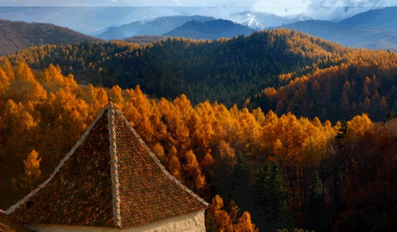 Padurile Virgine ale Transilvaniei: "Ultimul mare tinut salbatic din Europa"