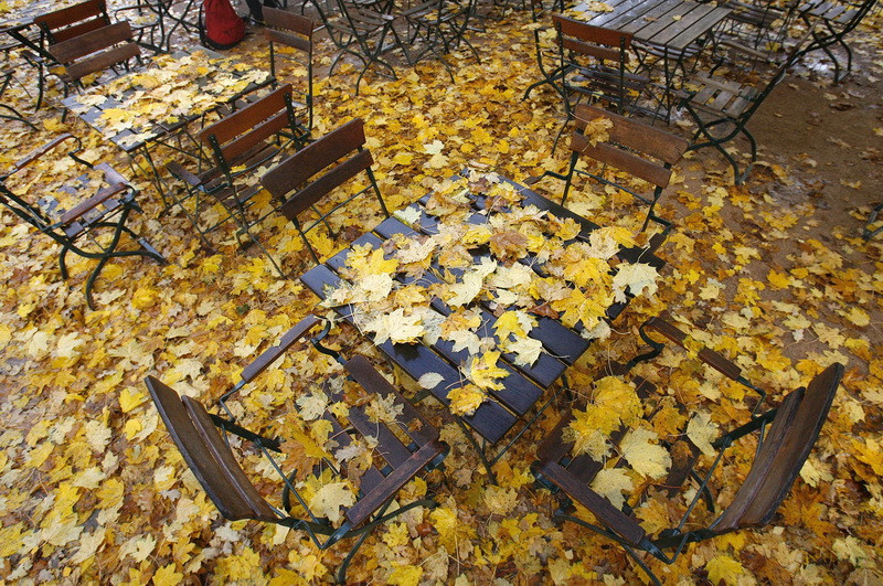 Temperaturile scad pana la 5 grade Celsius ziua. Prognoza anuntata de ANM pentru urmatoarea perioada