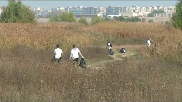 curatenie Delta Vacaresti