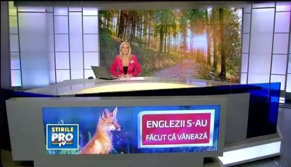 O vanatoare englezeasca cu staif a fost organizata in apropierea Castelului Caroy