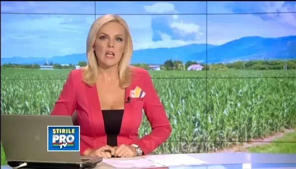 Camapnia Greenpeace impotriva culturilor modificate genetic a ajuns si in Romania