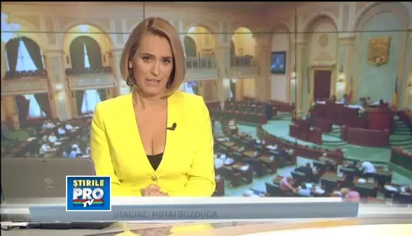 Cine candideaza pentru Parlament. Birchall, Murgeanu si Boureanu vor sa fie deputati in Vaslui