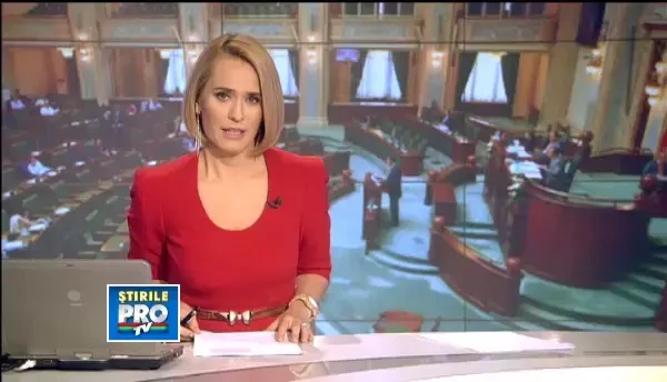 Senatul a RESPINS solicitarea de incetare a mandatului lui Mircea Diaconu