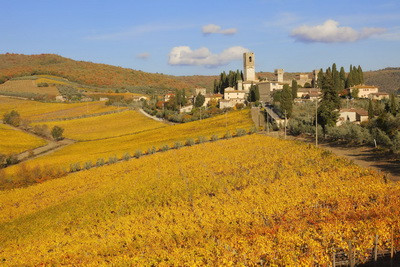 Schimbari radicale intr-una dintre tarile preferate de romani pentru joburi