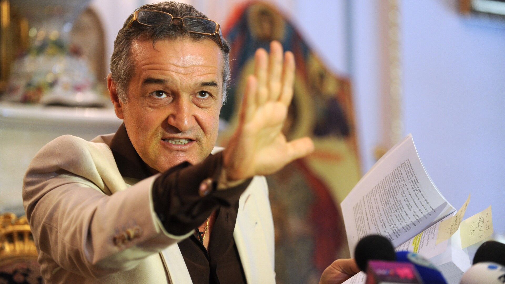 Averea candidatului PNL Becali: 386 de hectare de teren si peste 56 de milioane de euro imprumutati