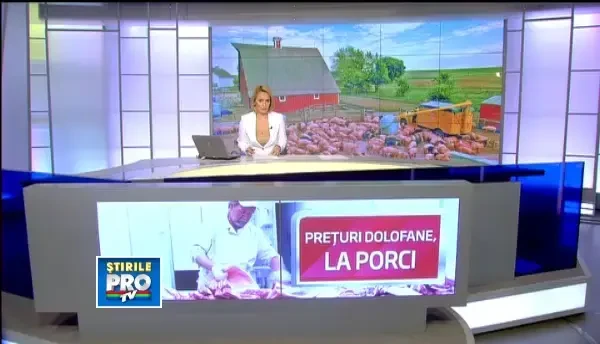 De sarbatori, carnea de porc s-ar putea scumpi cu pana la 15%. Criza furajelor, principala cauza