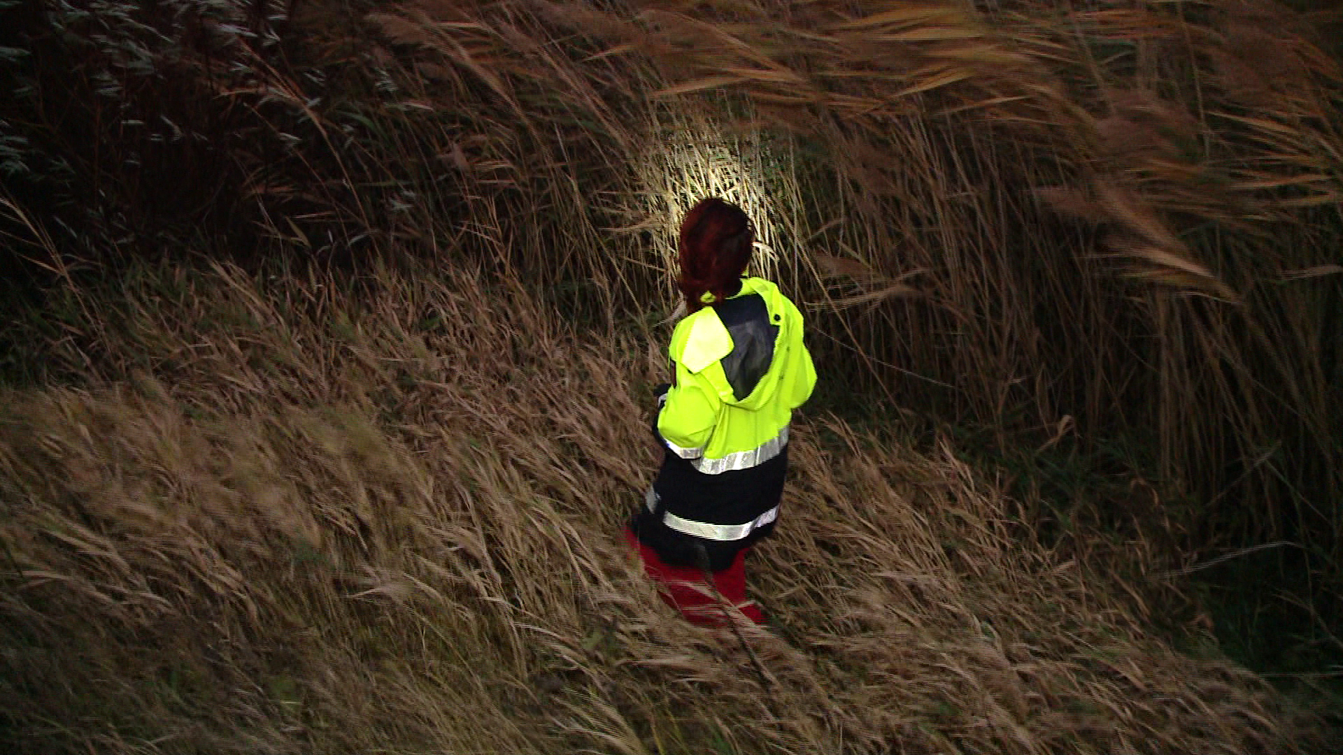 Suspans intr-o familie din Timis. Un baiat de 12 ani a disparut de acasa in noaptea de Halloween