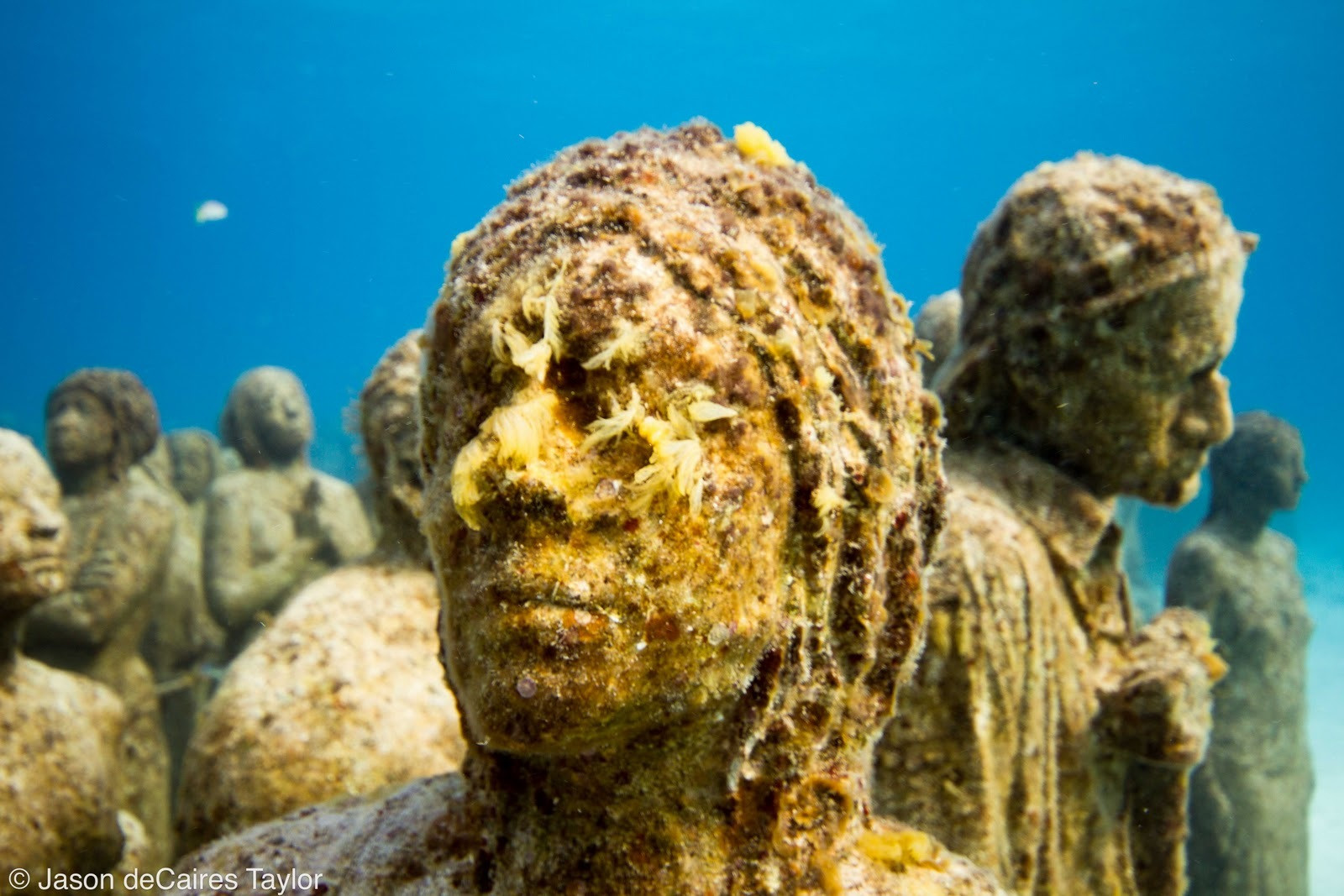 Lumea de sub ape: Statuile din Mexic care fascineaza toti scafandrii