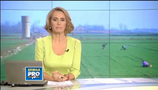 Sute de copii de la tara, transformati in sclavi, cu voia parintilor. Autoritatile, fara reactie