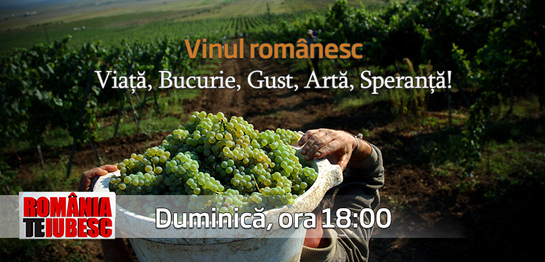 Incursiune exclusiva in crama guvernatorului BNR. Cine sunt romanii care fac bani din vinul autohton