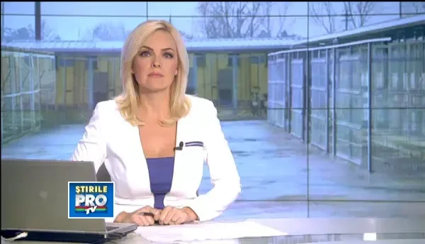 Cainii comunitari din Pascani au ajuns sa se manance intre ei. Solutia primarului pentru problema