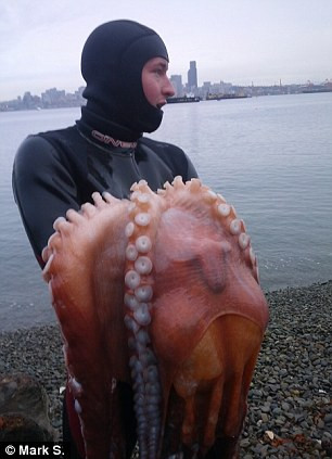 Gestul socant comis de un american, pentru care a primit numeroase amenintari cu moartea. VIDEO