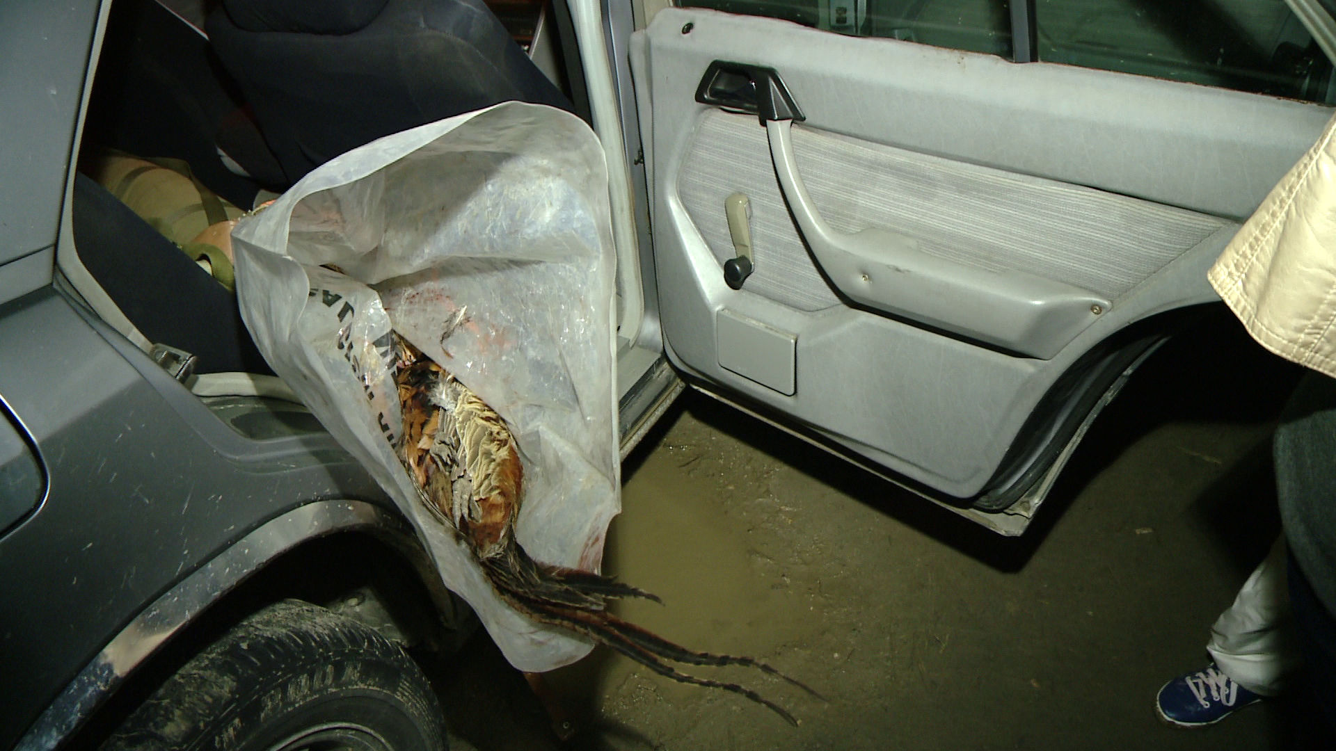 Doi oameni ai legii, un politist si un jandarm din Timis sunt suspectati de braconaj