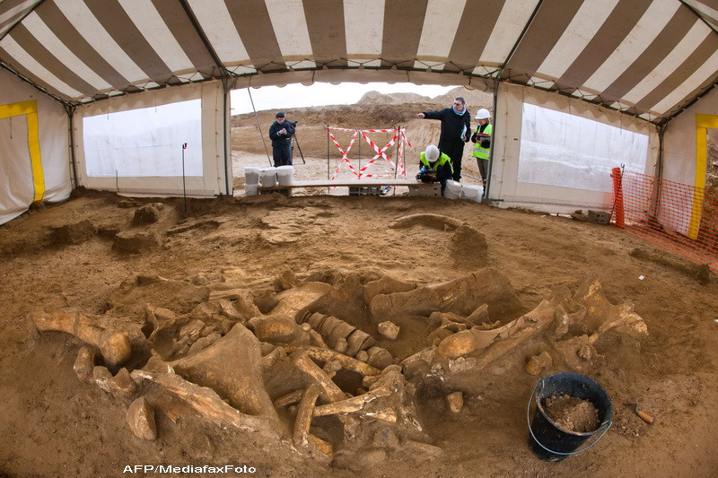 Descoperire istorica langa Paris. “Multi arheologi au visat toata viata lor sa gaseasca asa ceva"