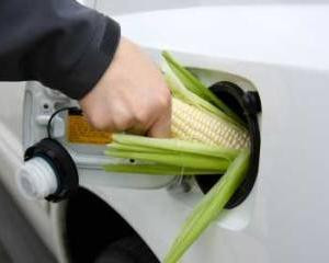 O bacterie straveche si multa chimie, o posibila reteta pentru "benzina verde" a viitorului