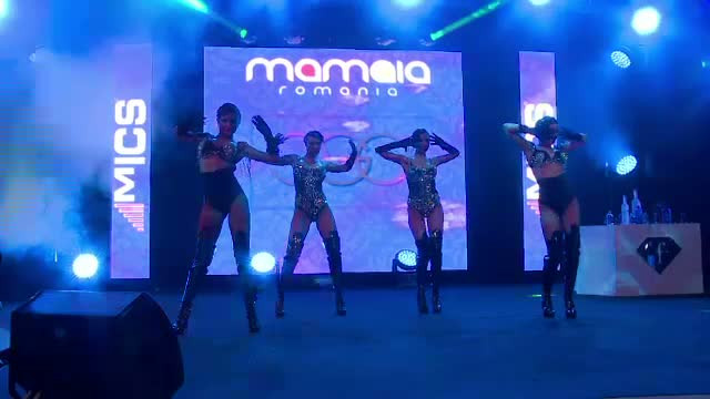 Sanctiuni de 80.000 de lei dupa controale ale Politiei in cluburi din Mamaia