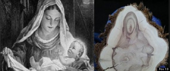 Un barbat sustine ca imaginea Fecioarei Maria a aparut pe trunchiul unui copac. FOTO