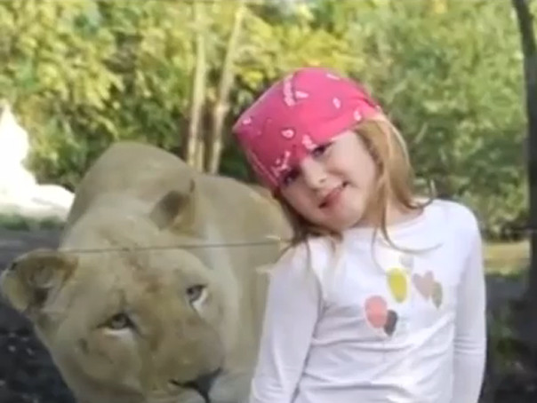 A tras probabil cea mai mare sperietura a vietii: Uite cum a reactionat aceasta fetita in fata unei leoaice VIDEO