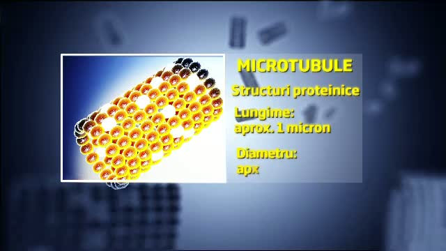 Ce se intampla cu sufletul dupa moarte. Teoria stiintifica pe care si biserica ar lua-o in calcul