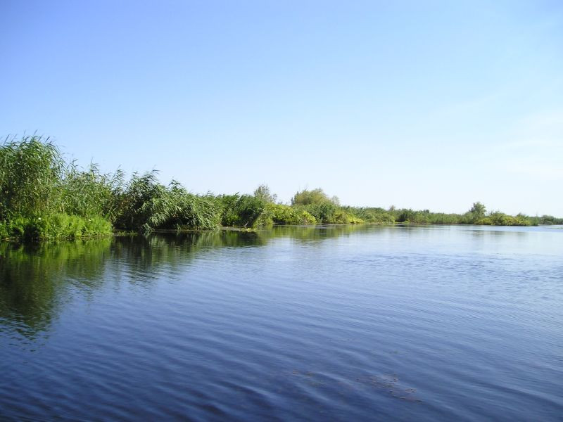 Locul din Romania pentru care ne invidiaza tot mapamondul: Tot ce nu stiai despre Delta Dunarii!