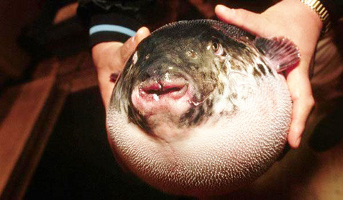 Bando Mitsugoro al VIII-lea