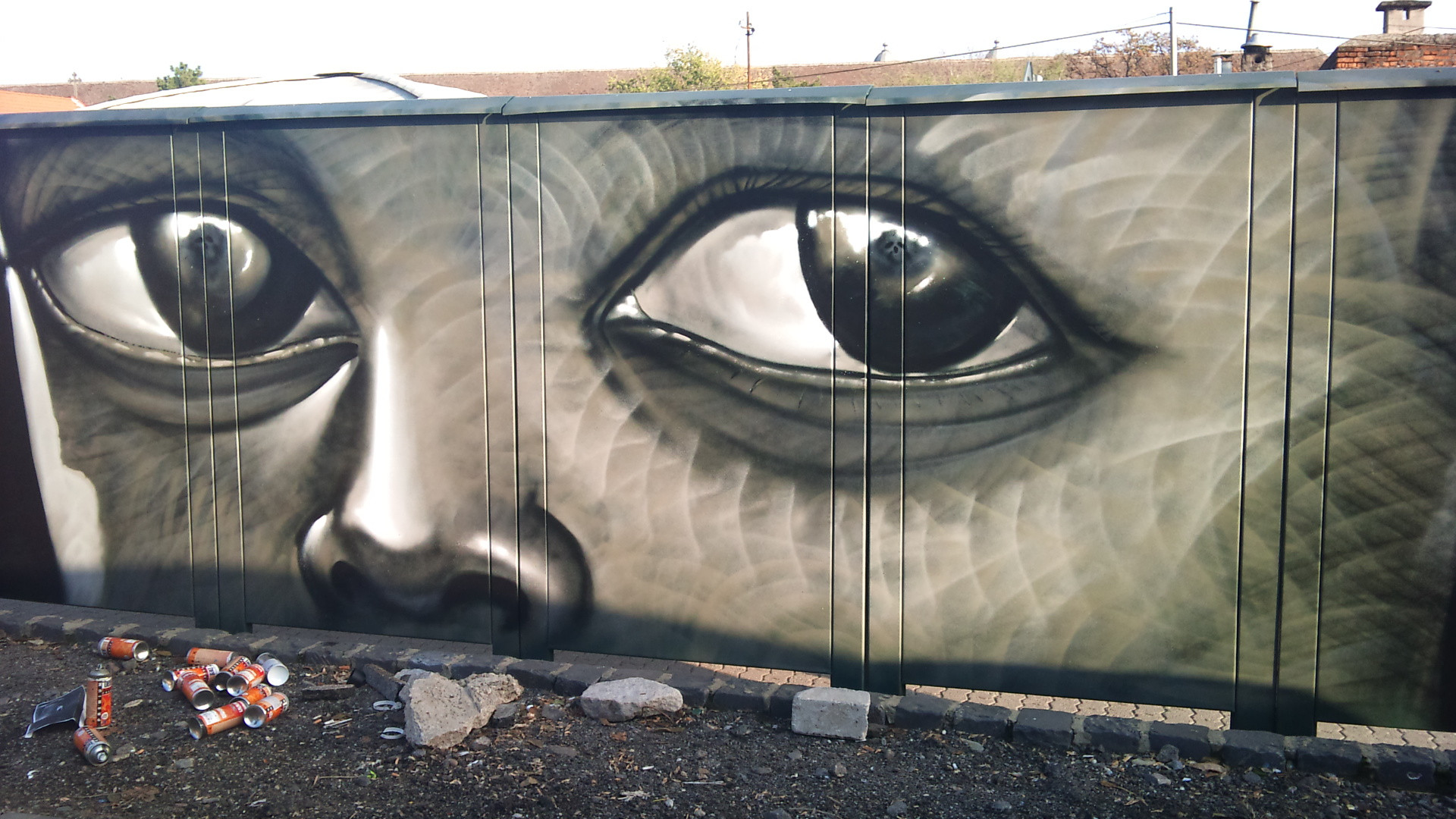 Ochii unui copil din Africa vegheaza asupra Pietei 700 din Timisoara. Vezi FOTO