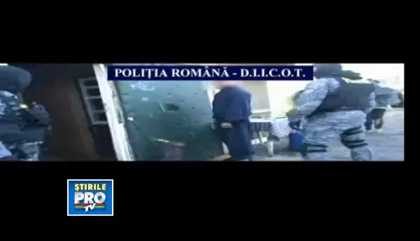 Descinderi la o grupare de proxeneti din Timisoara. 19 persoane au fost ridicate si duse la audieri