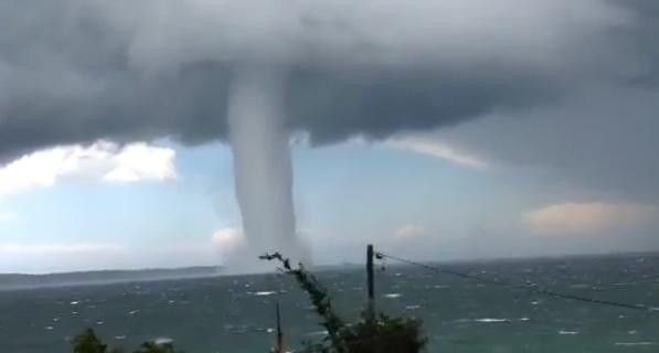 VIDEO. Imagini de cosmar filmate in Australia. Un urias vartej de apa se indrepta spre tarm