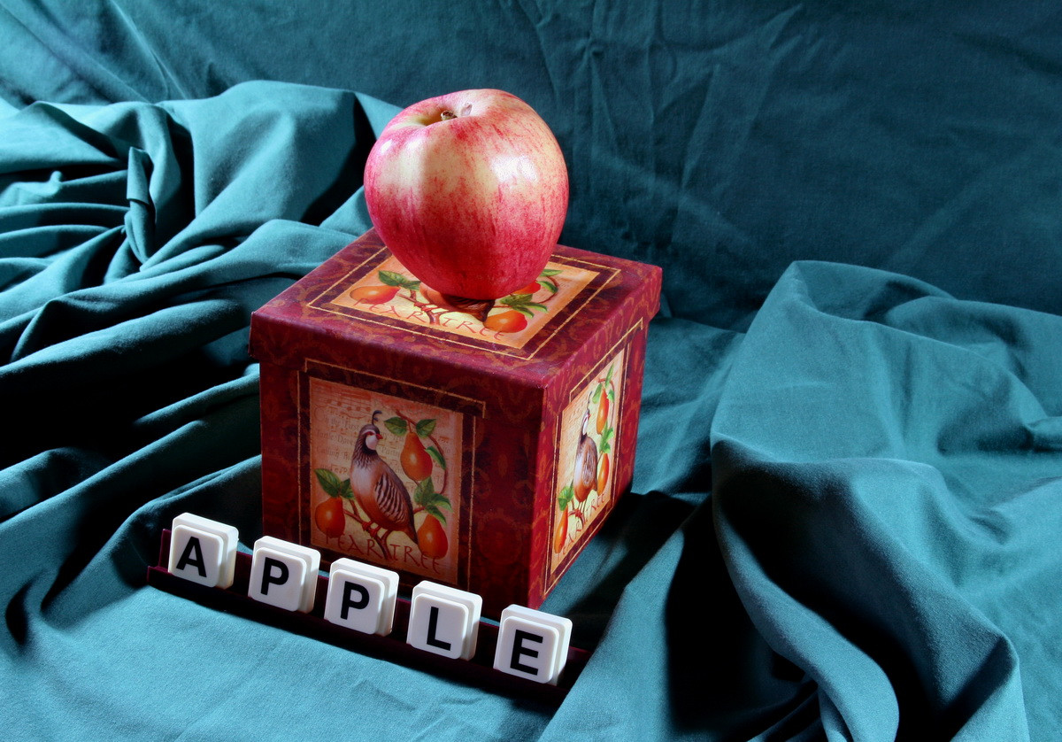 Americanul care si-a transformat garajul in muzeu Apple. GALERIE FOTO