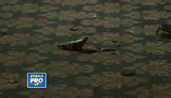 La un pas de moarte. Un tanar din Baia Sprie a fost injunghiat pentru o tigara