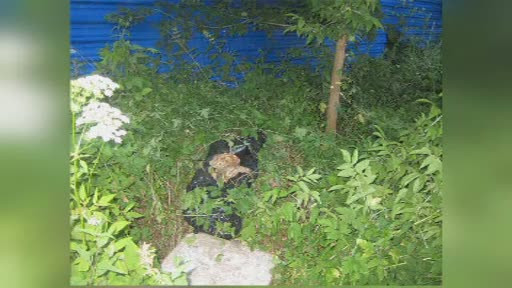 Gest socant al unei femei din Rusia, convinsa ca sotul ei va reveni din morti