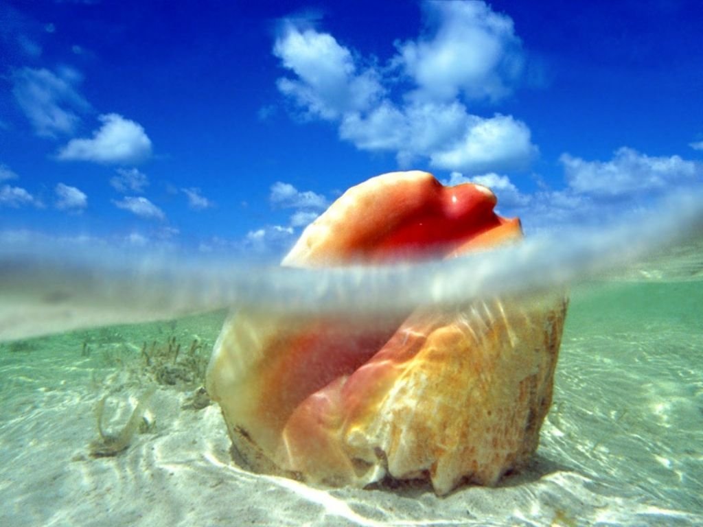 Bahamas