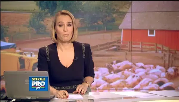 Ignatul ar putea deveni o amintire pentru oraseni. Cum o sa dispara o traditie din cauza saraciei