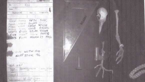 Puteti descifra acest mesaj secret codificat? Sute de experti s-au dat batuti si va cer ajutorul